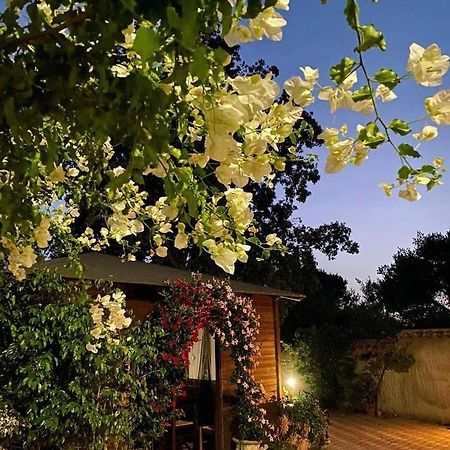 B&B Il Girasole 산타나아레시 외부 사진