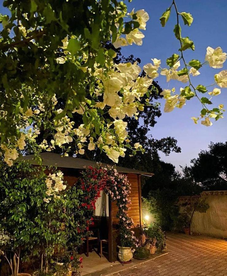 B&B Il Girasole 산타나아레시 외부 사진