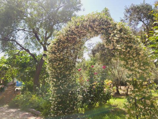 B&B Il Girasole 산타나아레시 외부 사진