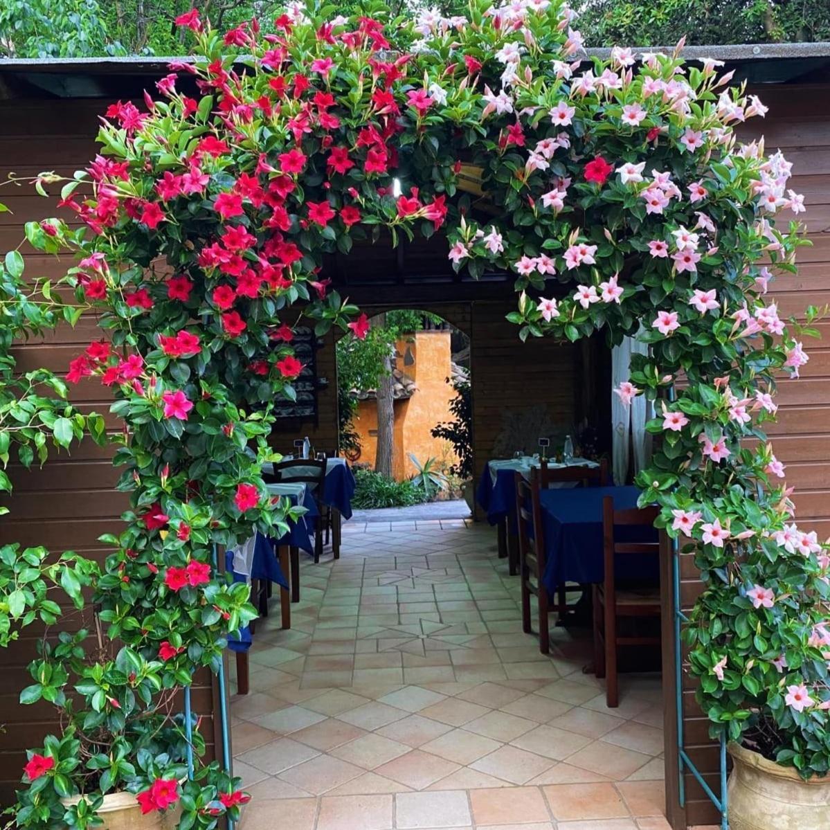 B&B Il Girasole 산타나아레시 외부 사진
